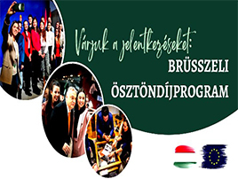 Brüsszeli ösztöndíjprogram