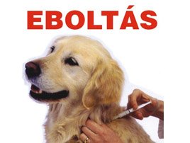 Eboltás!