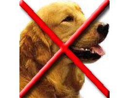 Ebzárlat és legeltetési tilalom!