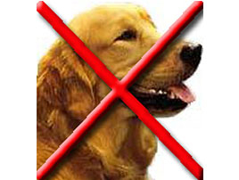 Ebzárlat és legeltetési tilalom!