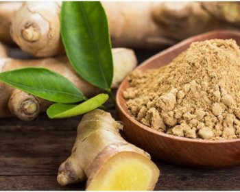 Egészséges életmód IV.