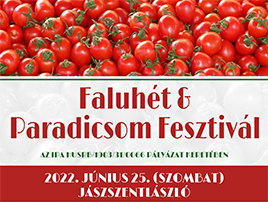 IPA HUSRB/1903/31/0066 pályázat keretében