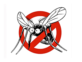 Segítse Ön is a szúnyogok elleni védekezést!